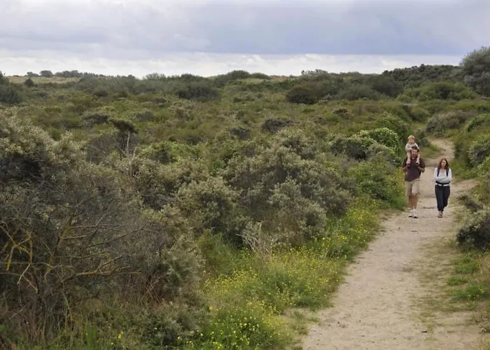 Vlak Aan Plopsaland En De Zee Vakantiehuis *
